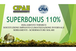 Cna_110_1