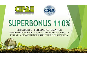 Cna_110_2