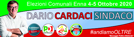 dario cardaci dedalo