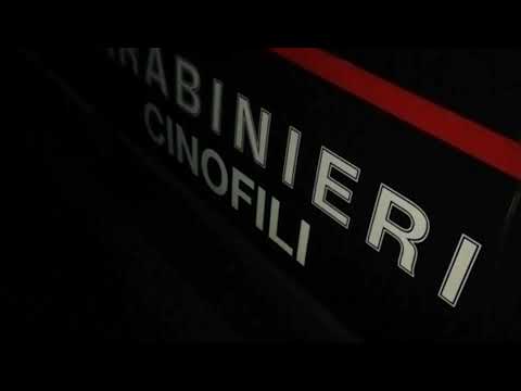 Operazione "Villa 2": le perquisizioni e gli arresti